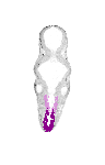 mouse atlas EMAGE spatial in situ gene expression database None
