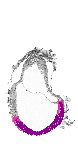 mouse atlas EMAGE spatial in situ gene expression database None