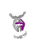 mouse atlas EMAGE spatial in situ gene expression database None