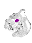 mouse atlas EMAGE spatial in situ gene expression database None