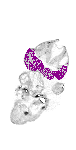 mouse atlas EMAGE spatial in situ gene expression database None