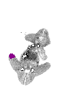 mouse atlas EMAGE spatial in situ gene expression database None