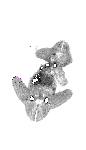 mouse atlas EMAGE spatial in situ gene expression database None