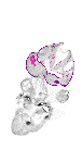 mouse atlas EMAGE spatial in situ gene expression database None