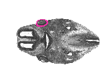mouse atlas EMAGE spatial in situ gene expression database None