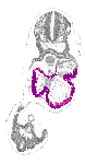 mouse atlas EMAGE spatial in situ gene expression database None