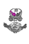 mouse atlas EMAGE spatial in situ gene expression database None