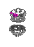 mouse atlas EMAGE spatial in situ gene expression database None