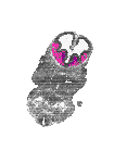 mouse atlas EMAGE spatial in situ gene expression database None