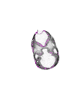 mouse atlas EMAGE spatial in situ gene expression database None