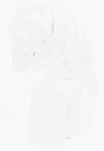 EMAGE:10471