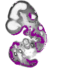 mouse atlas EMAGE spatial in situ gene expression database None