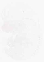 EMAGE:6203