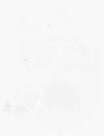 EMAGE:6203