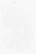 EMAGE:6204