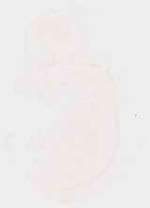 EMAGE:6211
