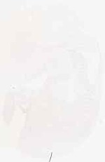 EMAGE:6221