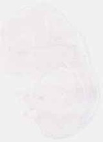 EMAGE:6236