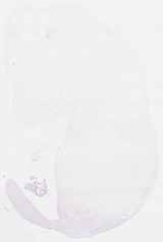 EMAGE:6237