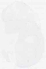 EMAGE:6241
