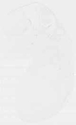EMAGE:6252