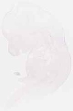 EMAGE:6265