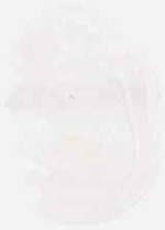 EMAGE:6284