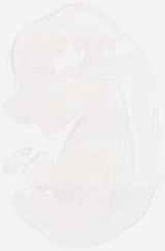 EMAGE:6297