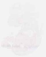 EMAGE:6325