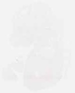 EMAGE:6325