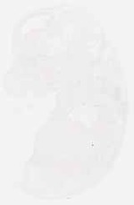 EMAGE:6325