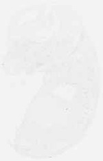 EMAGE:6327
