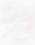 EMAGE:6358