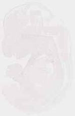 EMAGE:6367