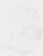 EMAGE:6367