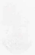 EMAGE:6398