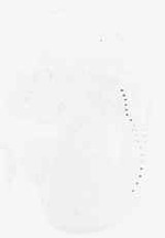EMAGE:6462