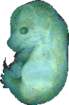 EMAGE:6502