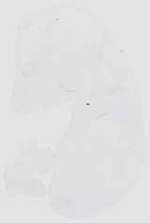 EMAGE:6535
