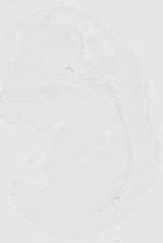 EMAGE:6536