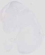 EMAGE:6538