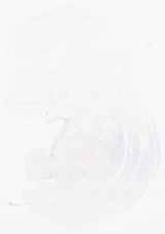 EMAGE:6562