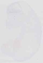 EMAGE:6573