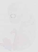 EMAGE:6590