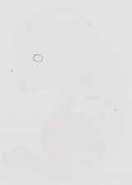 EMAGE:6598