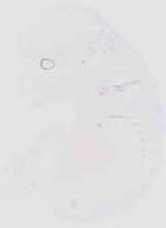 EMAGE:6622