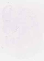 EMAGE:6773