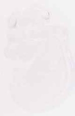 EMAGE:6773