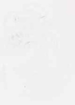 EMAGE:6773