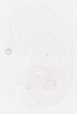 EMAGE:6945